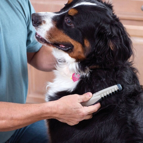 The Electric Pet Grooming Comb - Image 3
