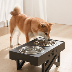 Adjustable food bowl with puppy eating out of the food bowl next to the water bowl