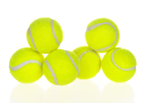 Dog Pet Automatic Interactive Ball Launcher - Image 17
