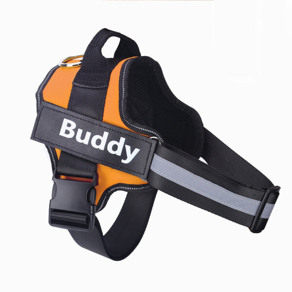 No Pull Dog Harness with Personalization Available - Image 14
