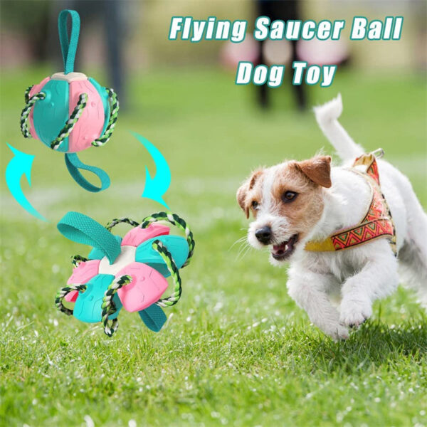 Interactive Dog Football Soccer Ball With Tabs Inflated Training Toy - Image 3