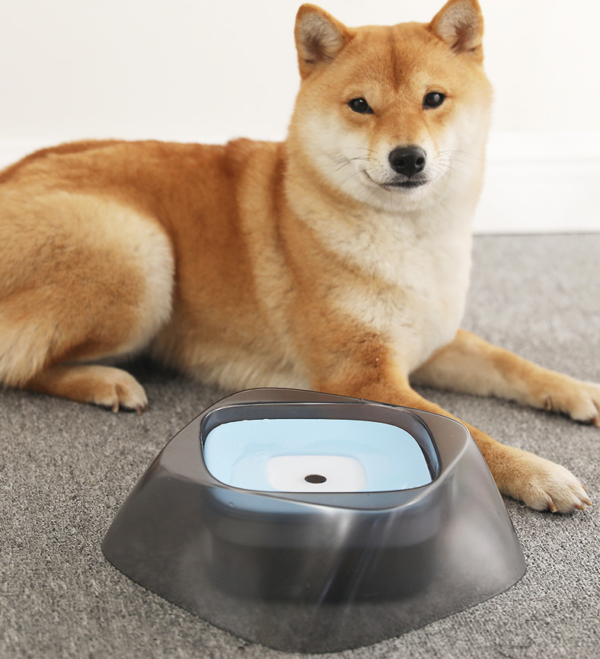 Amazing Pet Bowl with Floating Center Not Wetting Mouth No Spill Drinking Water