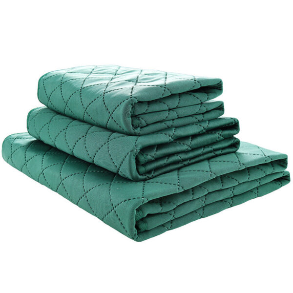 Natural Bamboo Fiber Pet Fixed-point Training Deodorant Moisture-proof Dog Pad - Image 3