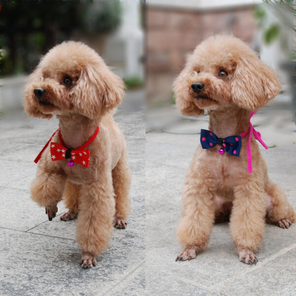 Pet accessories pet bow - Image 3