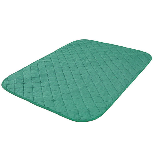 Natural Bamboo Fiber Pet Fixed-point Training Deodorant Moisture-proof Dog Pad - Image 5