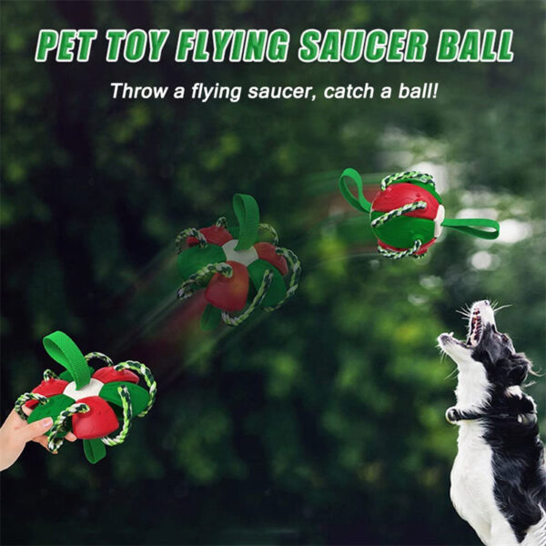 Interactive Dog Football Soccer Ball With Tabs Inflated Training Toy - Image 2