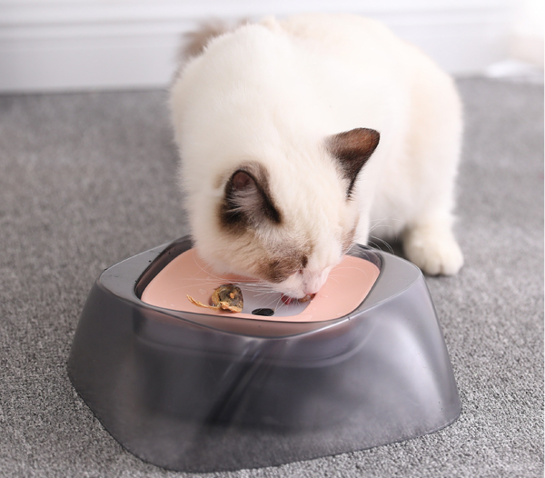 Amazing Pet Bowl with Floating Center Not Wetting Mouth No Spill Drinking Water - Image 2