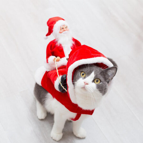 Fantastic Christmas green elf or Santa costume for your puppy - Image 2
