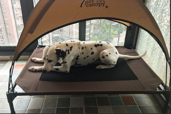Pet bed for your awesome dog - Image 6