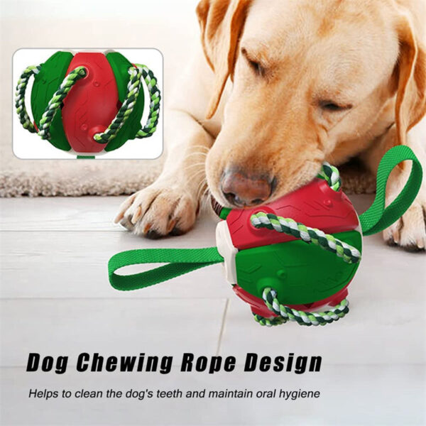 Interactive Dog Football Soccer Ball With Tabs Inflated Training Toy - Image 4