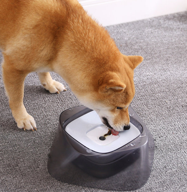 Amazing Pet Bowl with Floating Center Not Wetting Mouth No Spill Drinking Water - Image 4