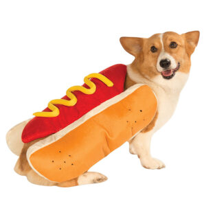 Funny Hotdog Costumes For Your Adorable Puppy