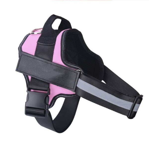 No Pull Dog Harness with Personalization Available - Image 15