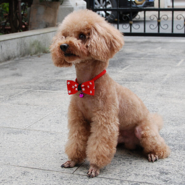 Pet accessories pet bow - Image 4