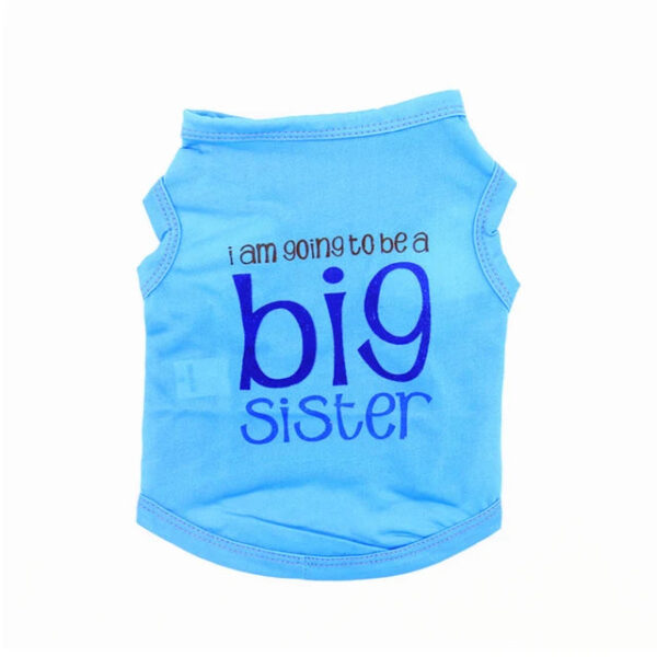 Blue Big Sis Shirt