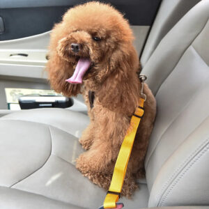 H23aae94a4fd841a3a0491a0ff80e58cbA Awesome Yellow Pet Safe Seatbelt for Road Trips