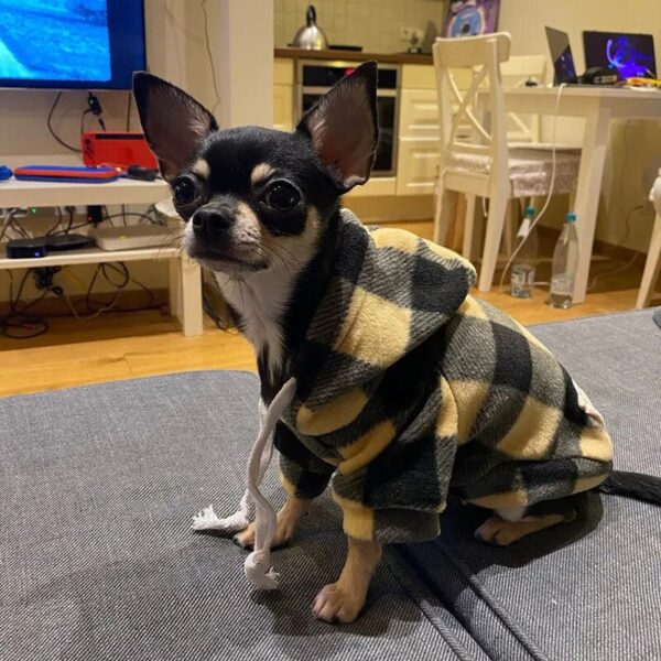 Yellow Black  plaid jacket for pet