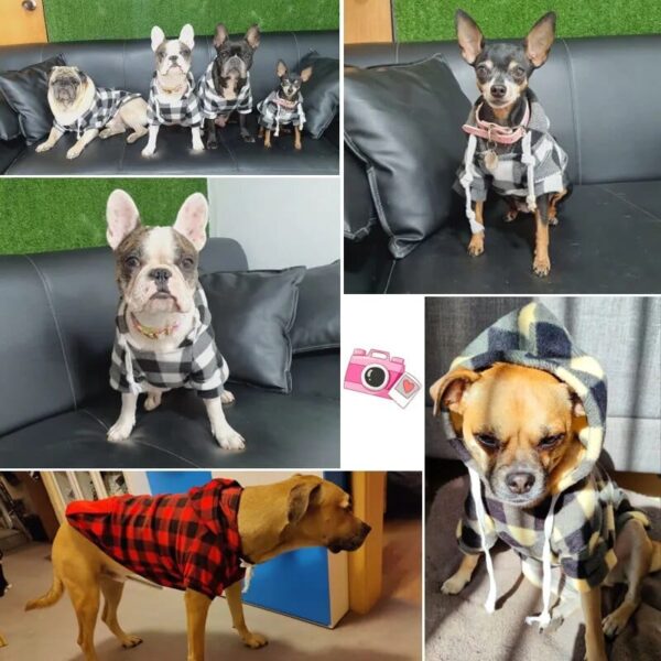 Winter Warm Pet Dog Clothes - Image 3