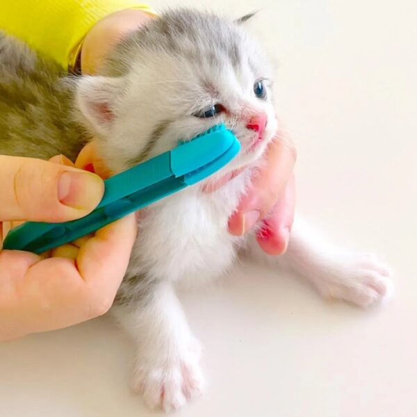 Great kitty or puppy eye cleaner, get rid of those little eye crusties! - Image 3