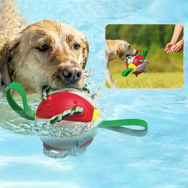 Interactive Dog Football Soccer Ball With Tabs Inflated Training Toy - Image 5
