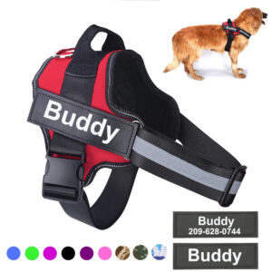 No Pull Dog Harness with Personalization Available