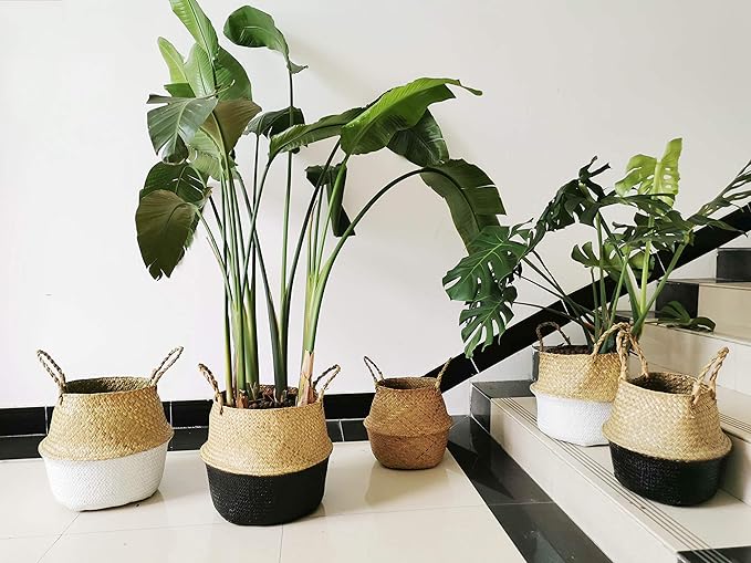 Your Amazing handmade woven storage basket beyond useful - Image 5