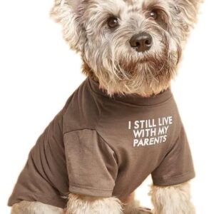 dog with brown shirt saying i still live with my parents