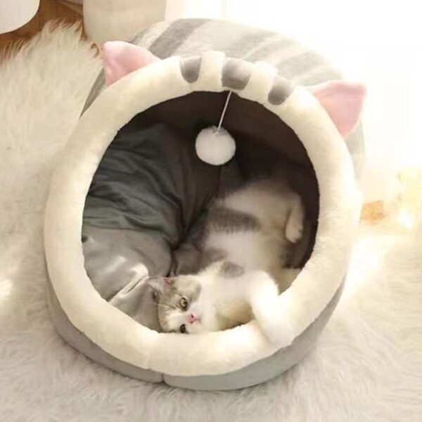 kitten loving cat cave bed