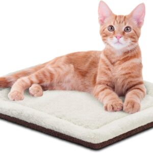 ginger cat sitting on a cat pad