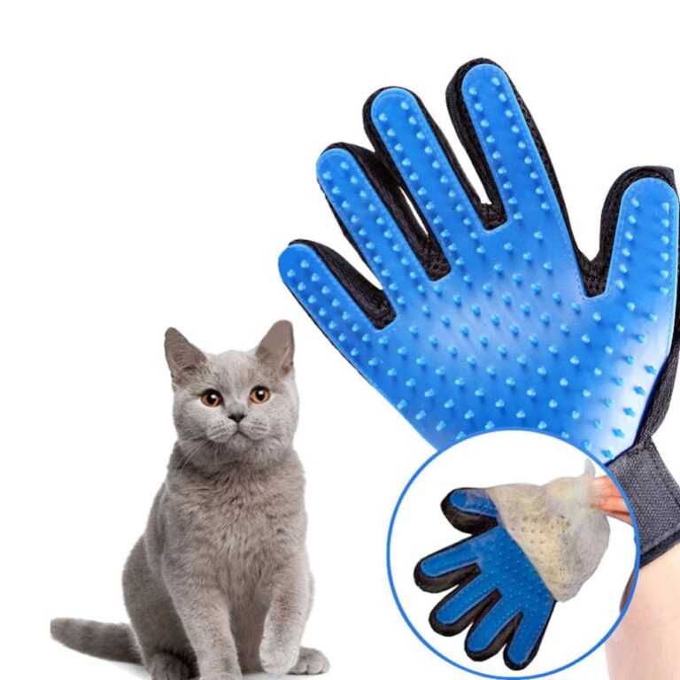 Wonderful blue palm cat glove with gray cat 