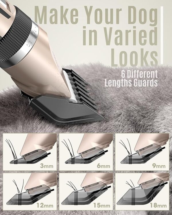 varied look for your pets hair lengths