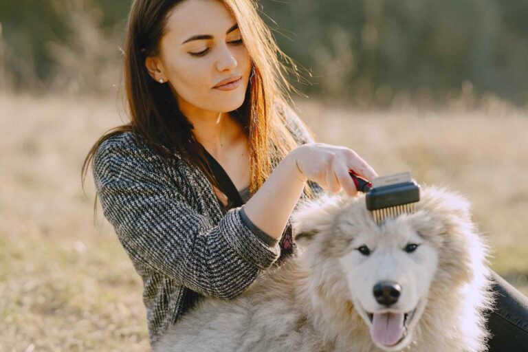 The Bark-tastic Guide to DIY Doggy Glam, Unleashing the Groomer in You!