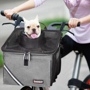 pet on a bike ride