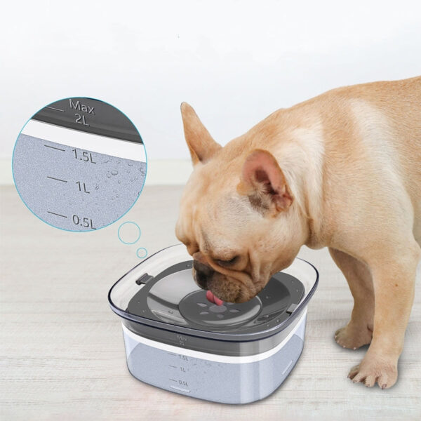 Spill-proof, 2L capacity! Keep pets hydrated with visible water! - Image 2