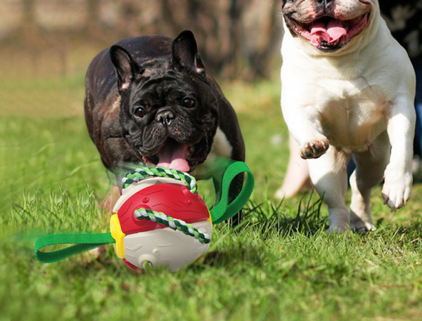 Interactive Dog Football Soccer Ball With Tabs Inflated Training Toy - Image 6