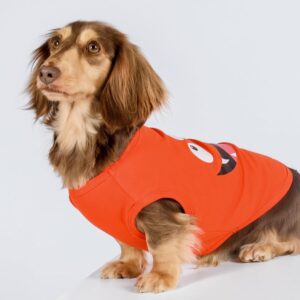 cute orange shirt on mini long hair doxin