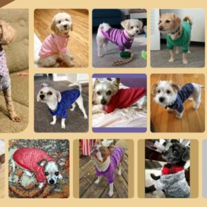 image shows people love this sweater