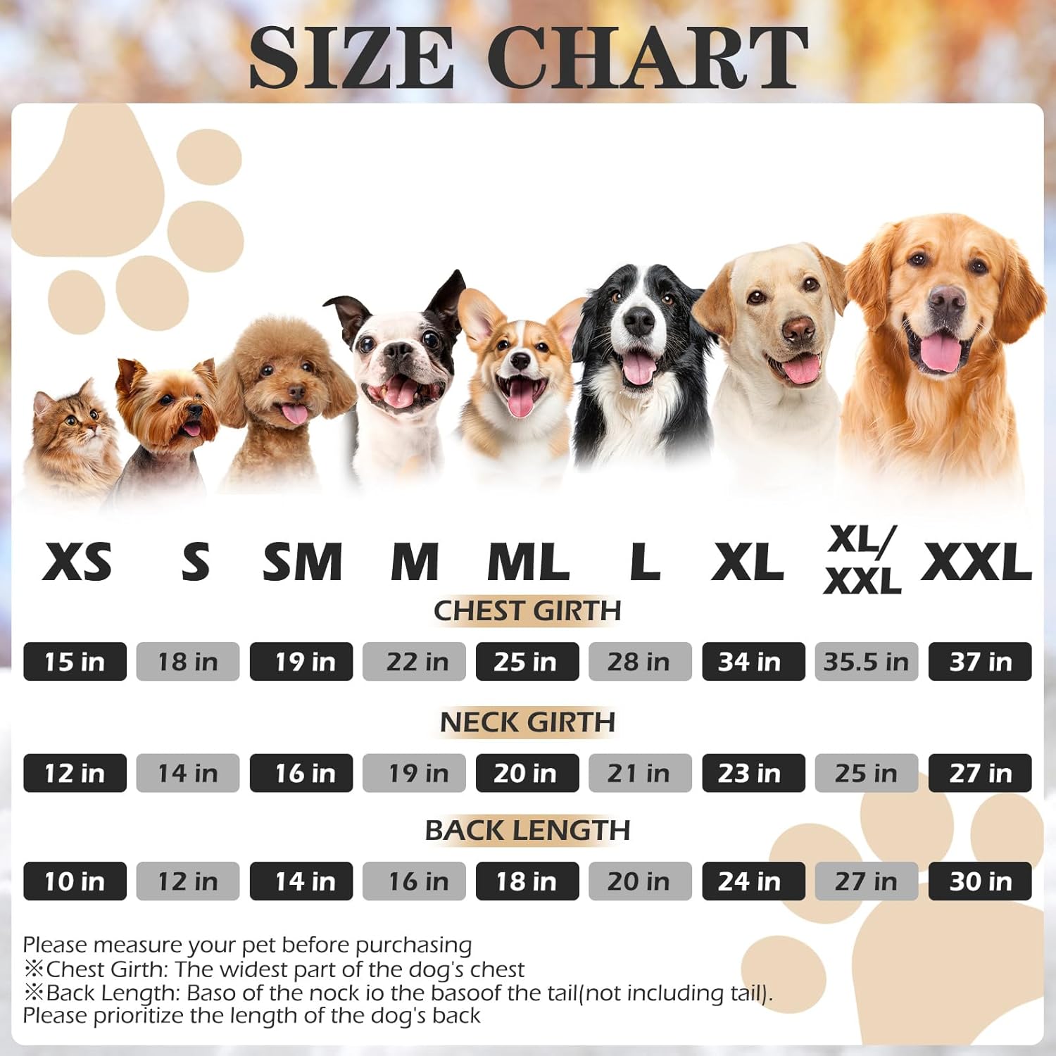 Fix Your Pink princess coming Today: Practical Tips - Image 3