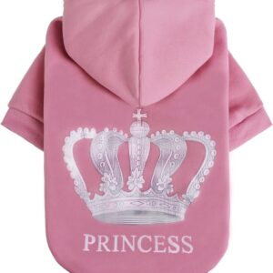 princess hoodie pet