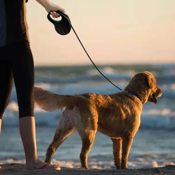 Puge tug line - best dog leash for medium and large dogs - Image 5