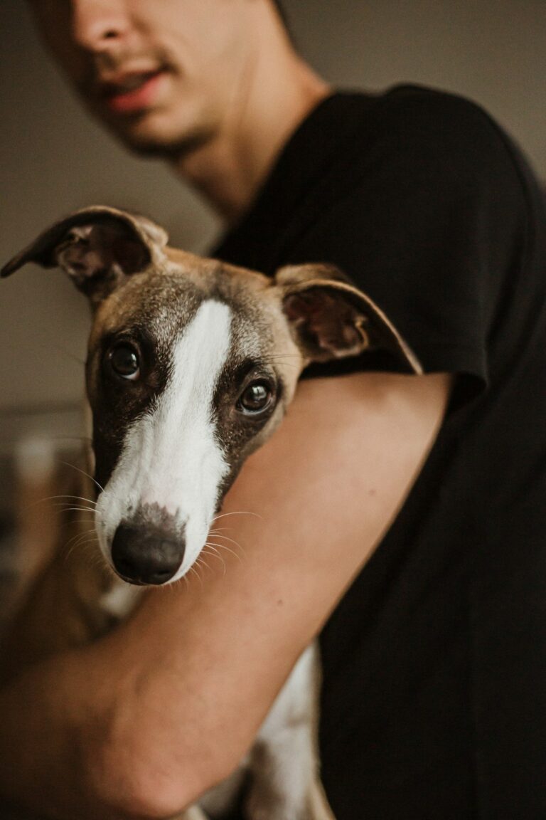 Owner of Viral Dog Terrified of Her New Kitten Sibling Shares Cutest Update – Newsweek
