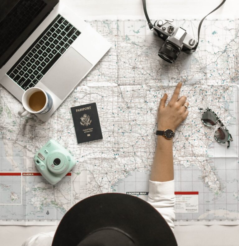 Traveling with pets made easy – The Korea Herald