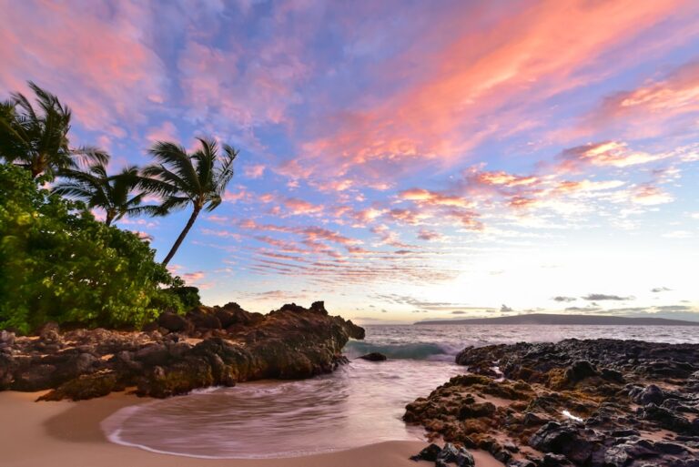 Maui man sentenced for killing beloved pet pig during hunting contest – Hawaii News Now