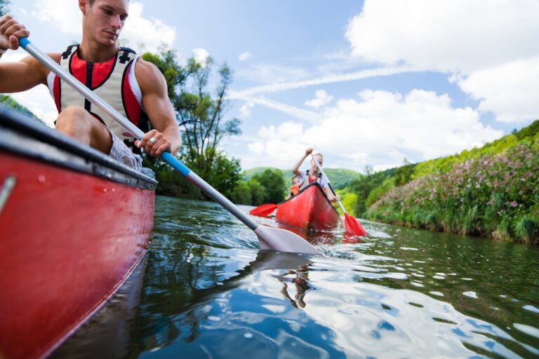 ‘Kayaking’ Polar Bears Have the Most Chaotically Cute Water Sport Adventure – PetHelpful