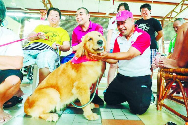 Paw-sitive power of therapy animals – The Sun Malaysia