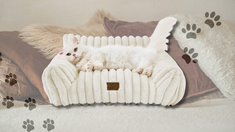 Pamper your cat with the cutest Bedsure pet couch, now 20% off at Amazon – USA Today