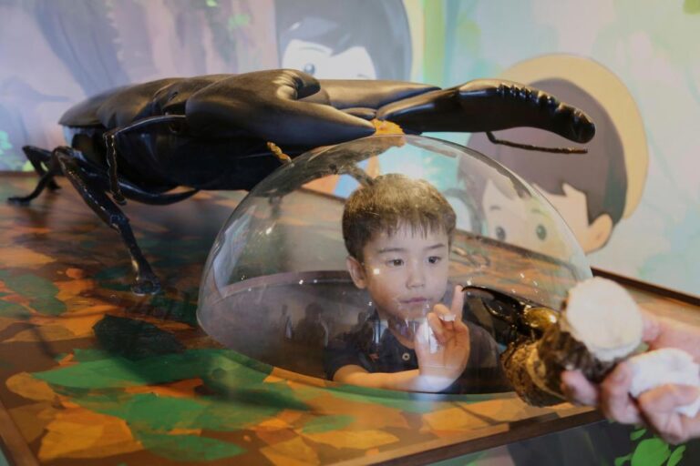 Bugs are popular pets in Japan, buzzing with lessons about ecology – The Citizens' Voice