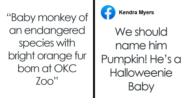 Oklahoma City Zoo Welcomes Fiery-Orange Baby Monkey, Internet Swoons Over … – Bored Panda