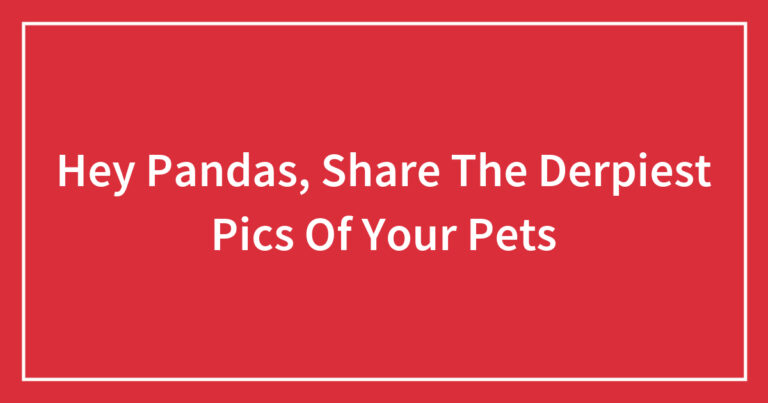 Hey Pandas, Share The Derpiest Pics Of Your Pets
