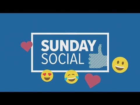Sunday Social: Cute kids and their dogs, game wardens rescue a moose – YouTube